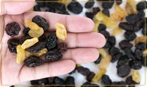 فرق مویز و کشمش