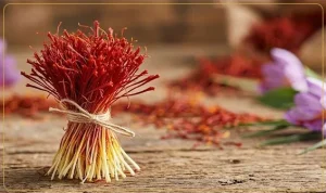 زعفران دخترپیچ چیست