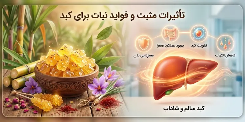مضرات نبات برای کبد